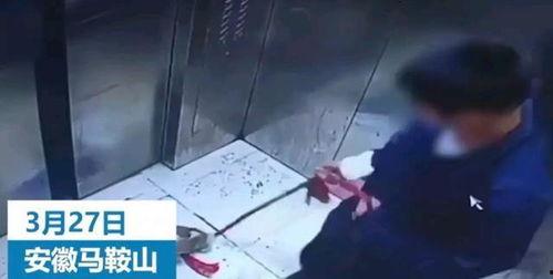 辽宁男孩爆料视频大全集,揭秘背后真相与感人瞬间